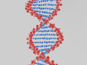 A DNA strand.