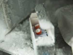 Frozen cryostorage samples.